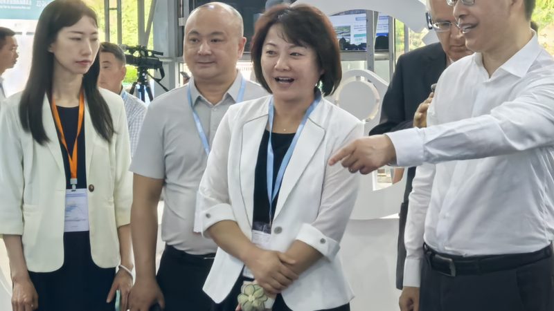 刹车片材质耐磨排名揭秘：如何选择最适合的刹车片